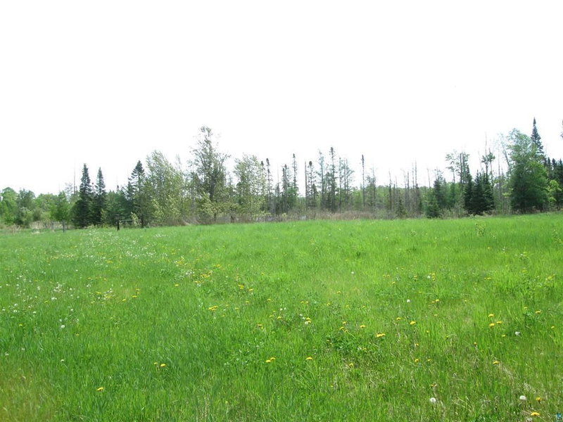 4606 Maki Road - Photo 9