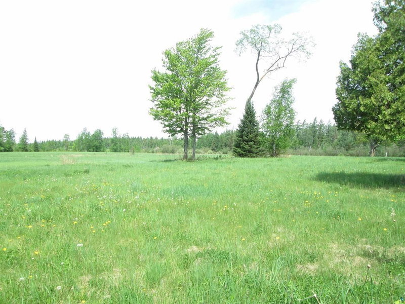 4606 Maki Road - Photo 10