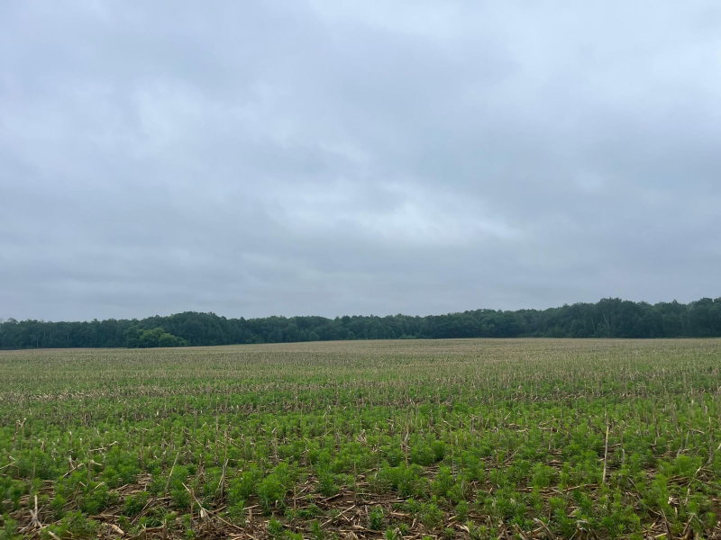 TBD (Lot 2) Hemingway Avenue