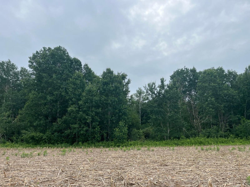 TBD (Lot 2) Hemingway Avenue - Photo 3