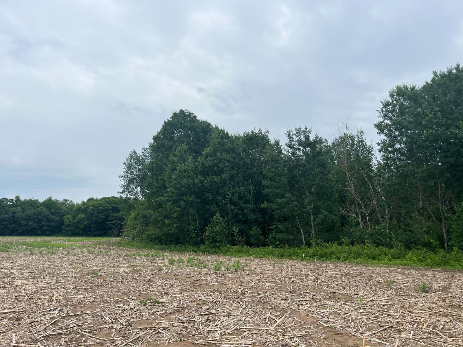 TBD (Lot 2) Hemingway Avenue