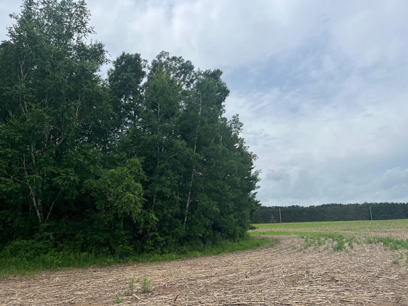 TBD (Lot 2) Hemingway Avenue