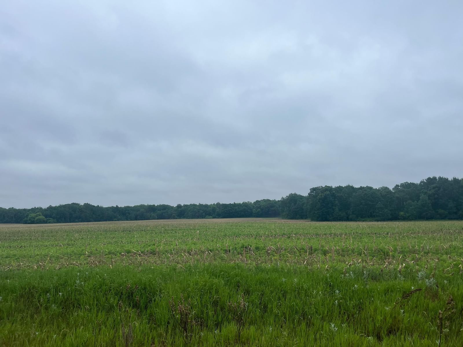 TBD (Lot 3) Hemingway Avenue