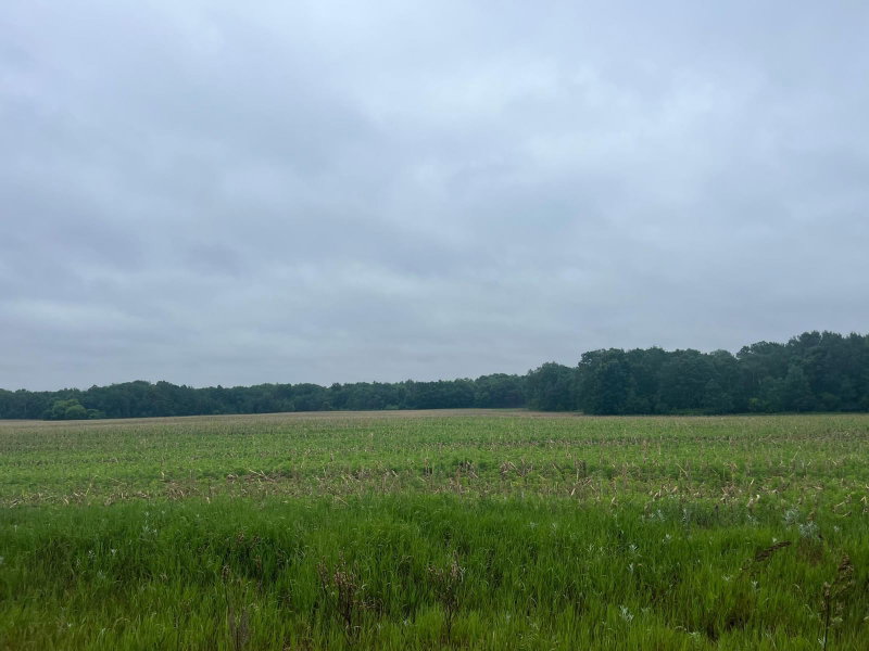 TBD (Lot 3) Hemingway Avenue