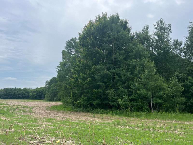 TBD (Lot 3) Hemingway Avenue - Photo 2