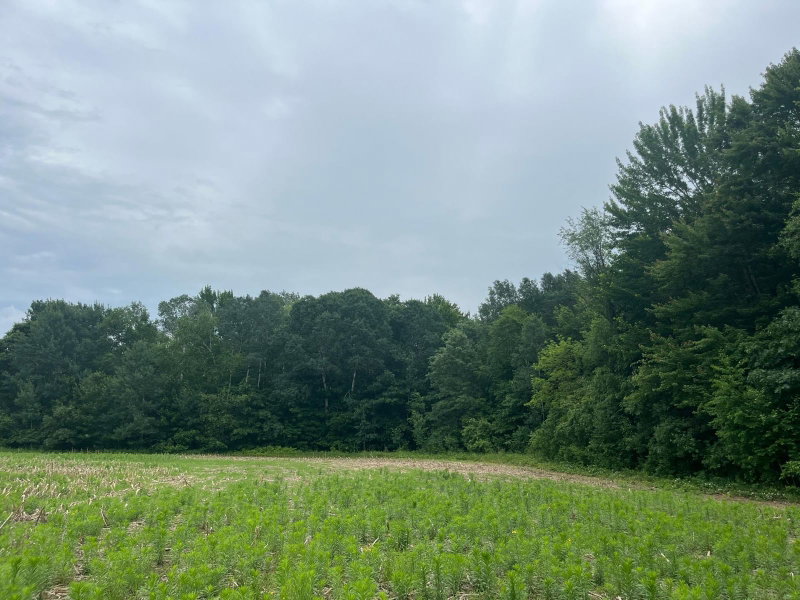 TBD (Lot 4) Hemingway Avenue - Photo 2