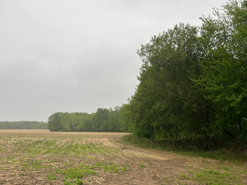 TBD (Lot 4) Hemingway Avenue - Photo 5