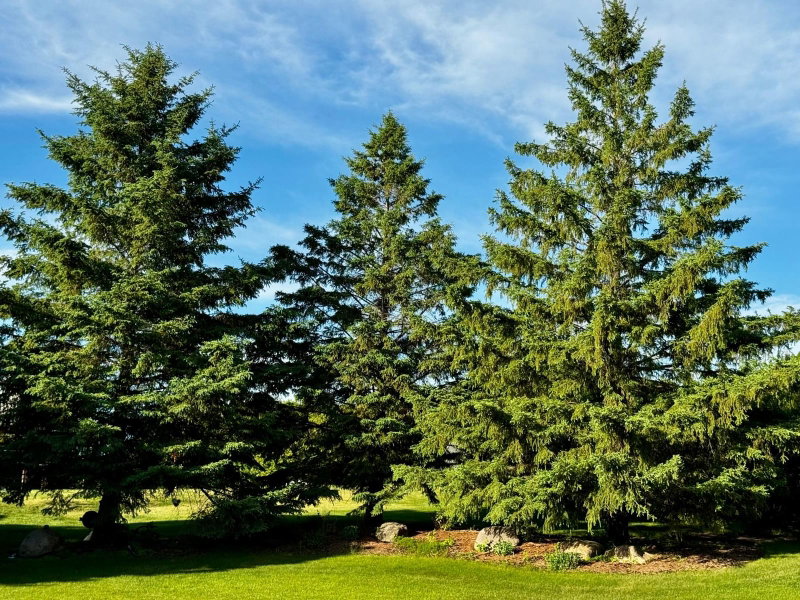2441 Highland Trail SW - Photo 43