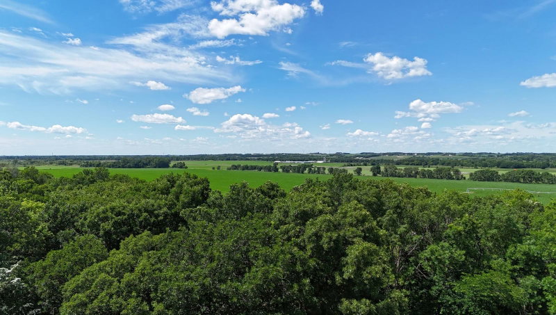 30099 Conita Circle - Photo 41