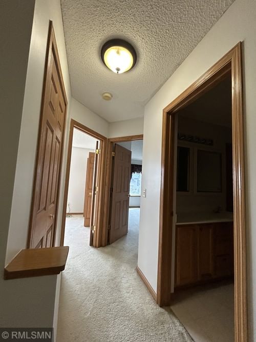 6884 Meadow Grass Lane S - Photo 19