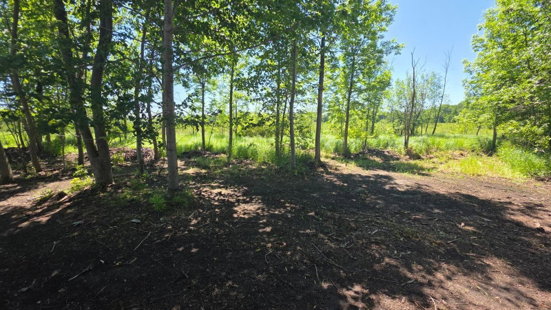 129XX W Abbey Lake Lane - Photo 12