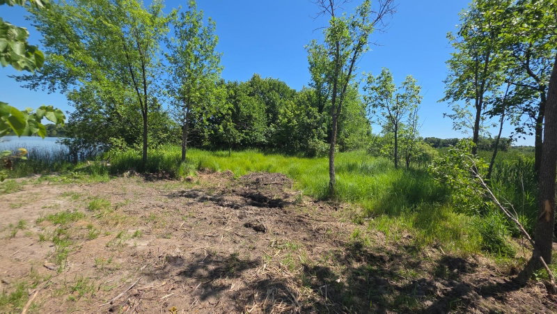 129XX W Abbey Lake Lane - Photo 13