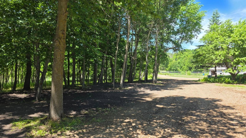 129XX W Abbey Lake Lane - Photo 21