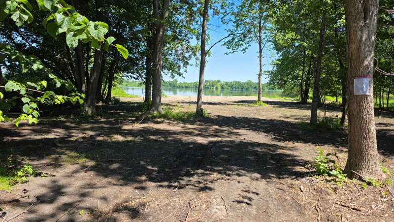 129XX W Abbey Lake Lane - Photo 9