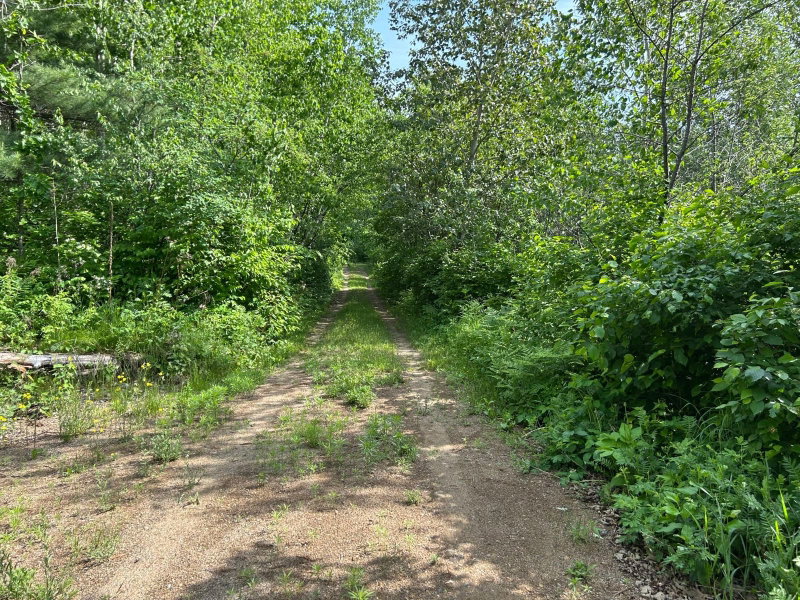 13894 Grouse Trail - Photo 21