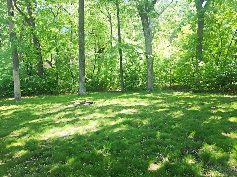 5940 Otter View Trail - Photo 51
