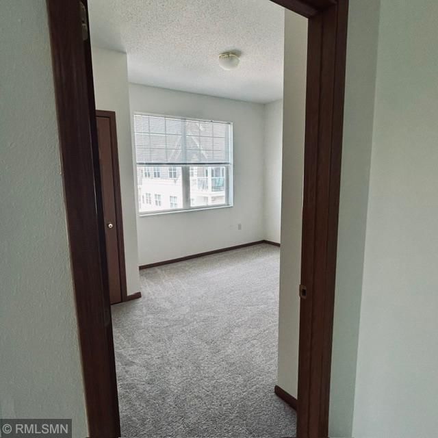 8341 Lyndale Avenue S #424 - Photo 11