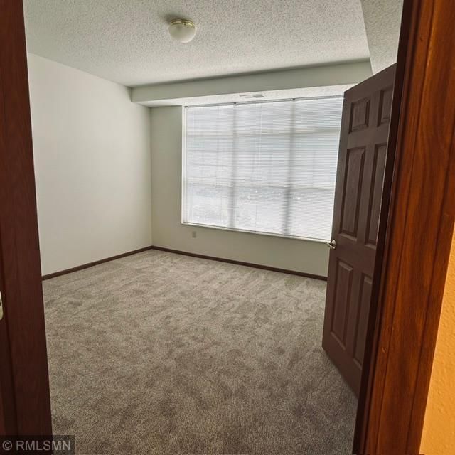 8341 Lyndale Avenue S #424 - Photo 7