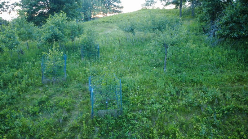 E9393 1080th Avenue - Photo 62