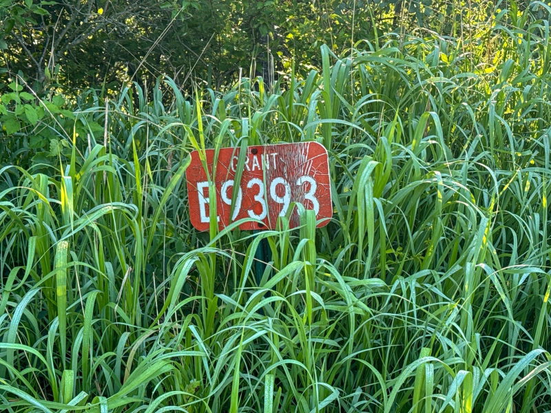 E9393 1080th Avenue - Photo 66
