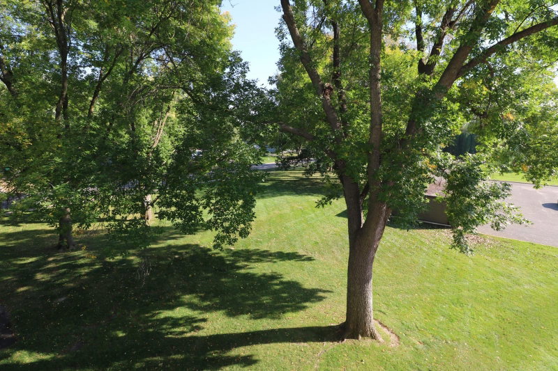 2800 Hamline Avenue N #347 - Photo 11