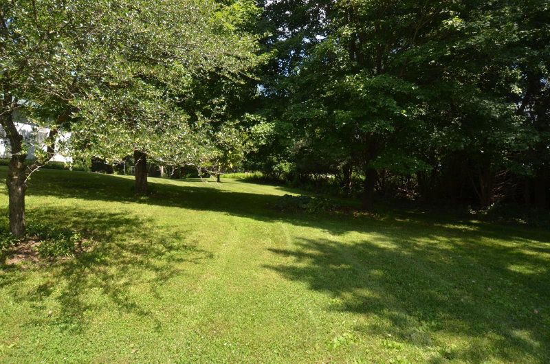 12036 145th Street E - Photo 25