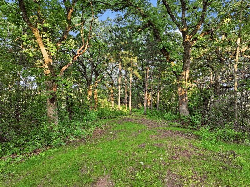 10761 Penfield Avenue Court N - Photo 65