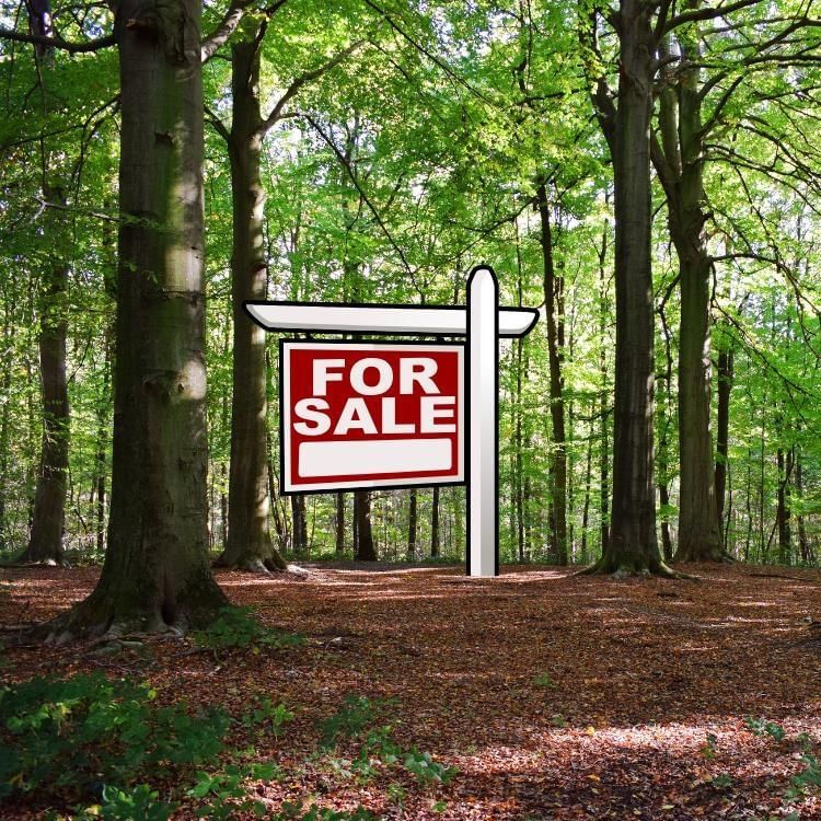 1597 King Street, Bridgewater, Nova Scotia