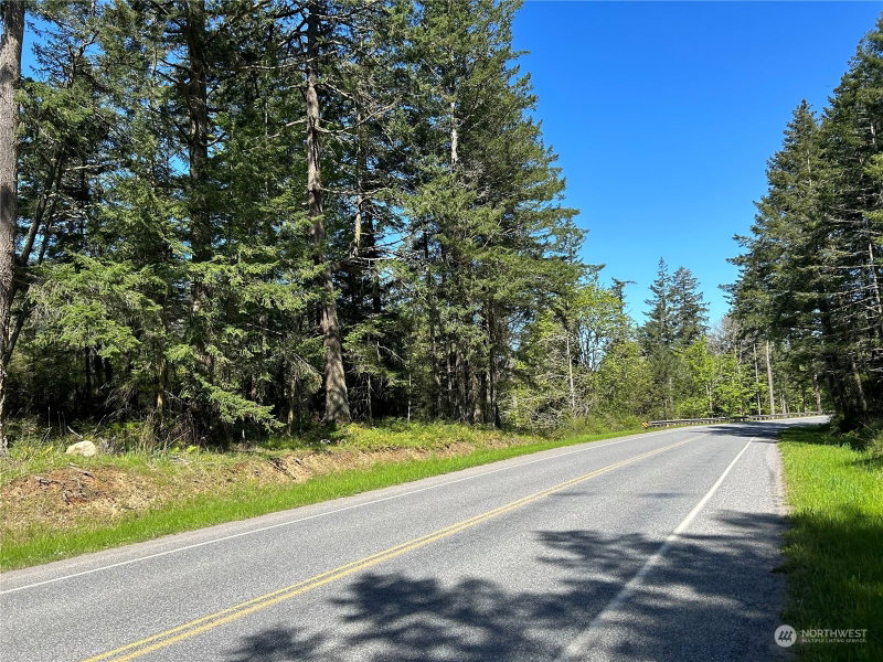 0 X Orcas Road photo 2