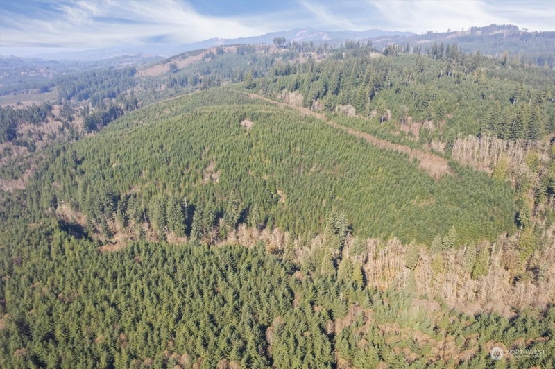 0 Cedar Mist Road photo 1
