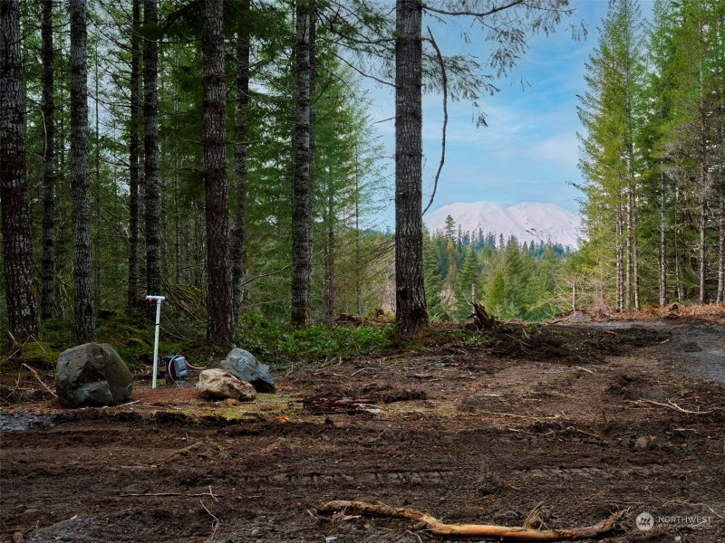 1 A Lahar Lane photo 2