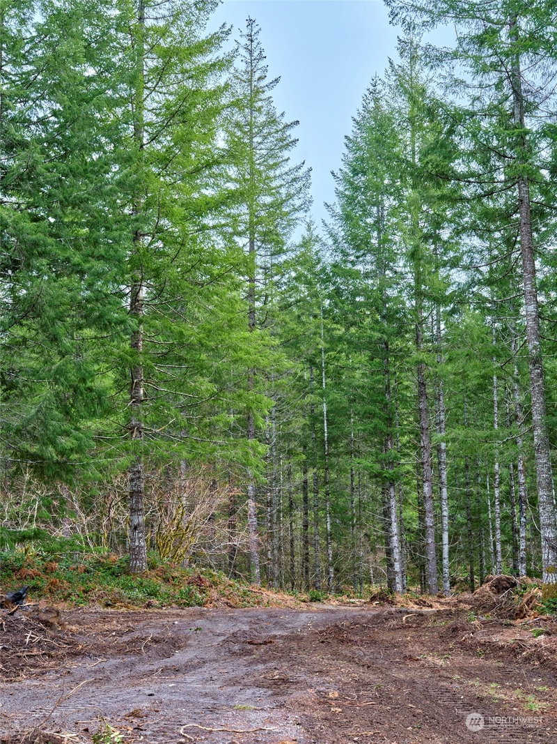 1 A Lahar Lane photo 6