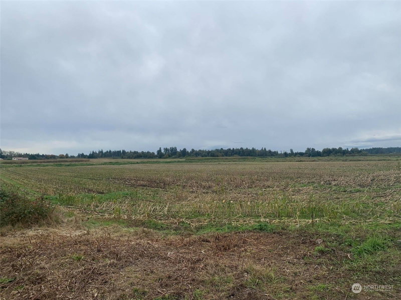 361 W Wiser Lake Road photo 2