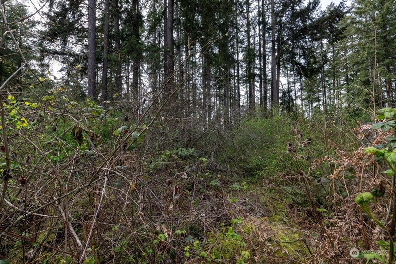 0 (Lot 3) 95th Avenue Ct E photo 2