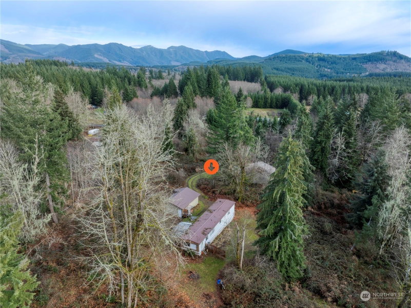289 Calvin Road photo 39