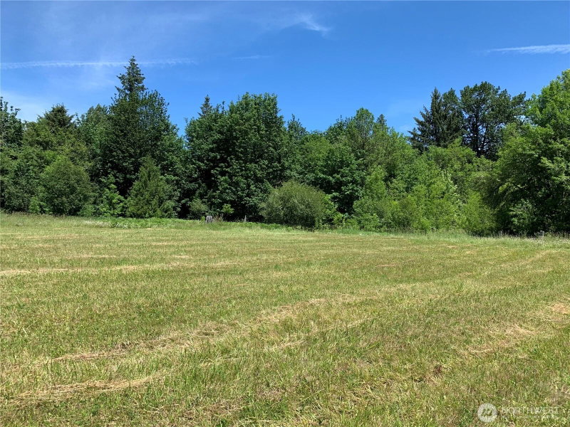 178 Mask Lane photo 1