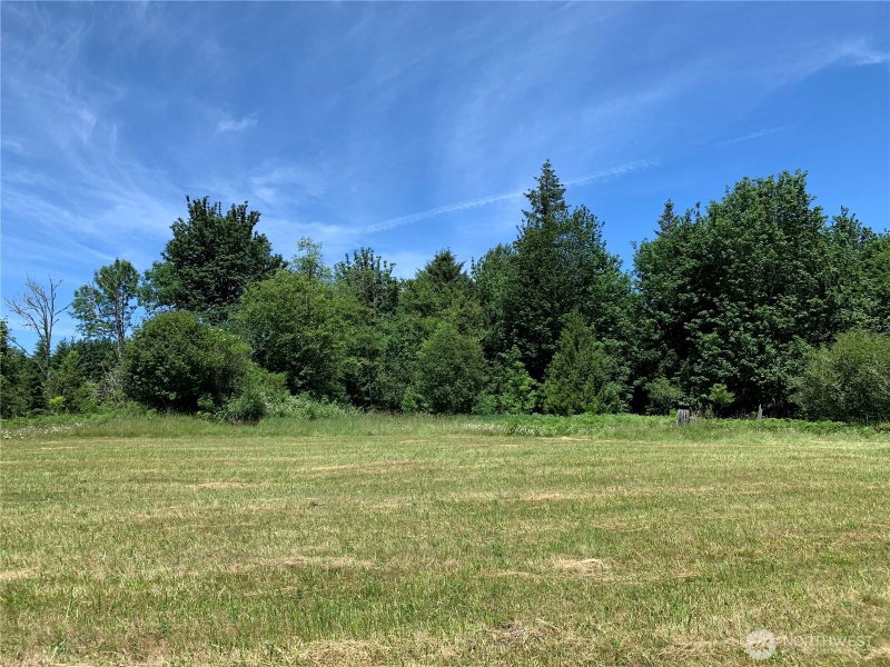 178 Mask Lane photo 2