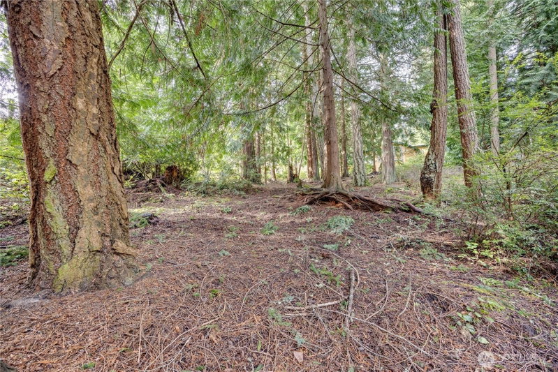 225 Belvedere Drive photo 2