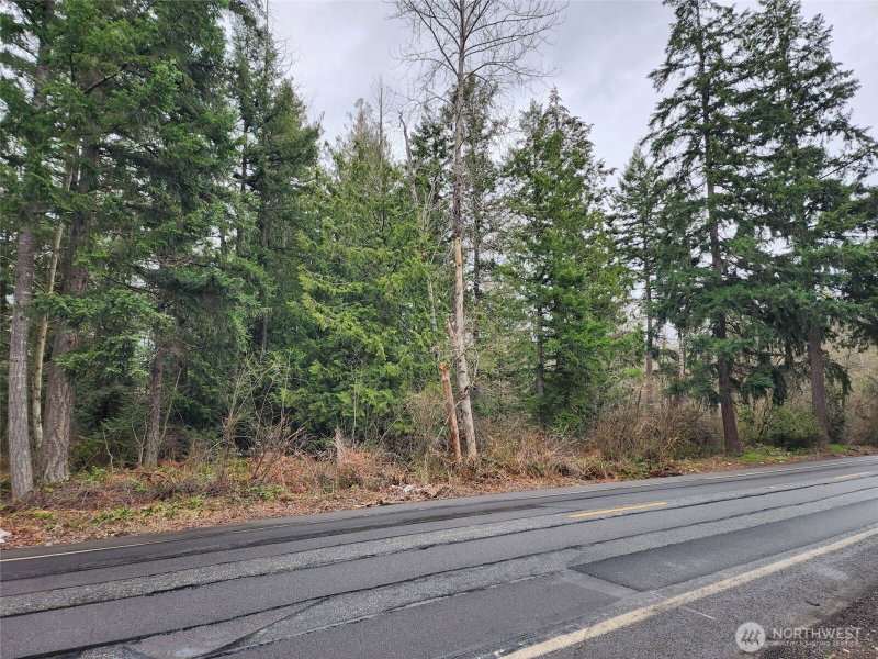 0 126th Avenue E photo 2