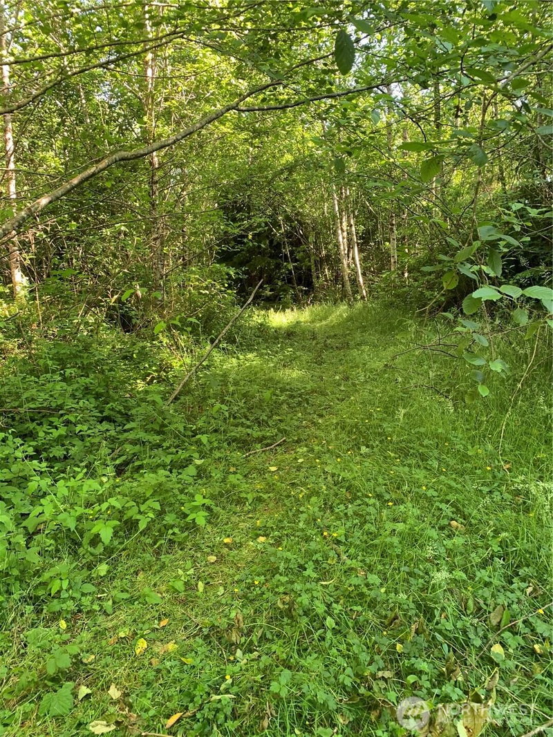 2 Tract Parpala Road photo 1