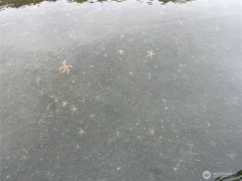89 F Tulalip Way photo 19