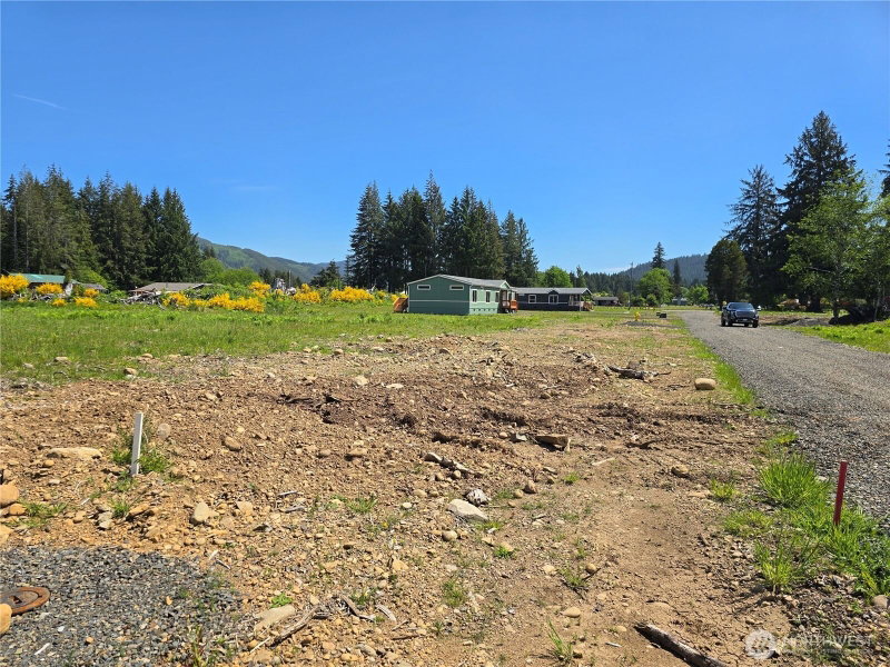 75 Newton Road photo 4