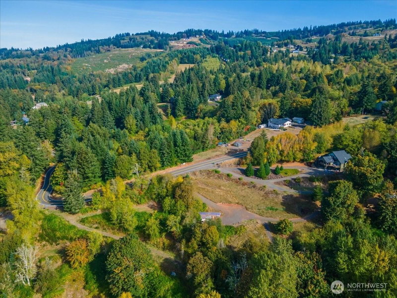 4733 Green Mountain Road photo 2
