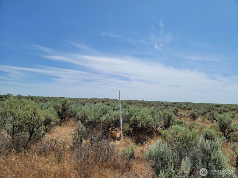 0 Lot 116 Eagle Springs Ranch photo 2