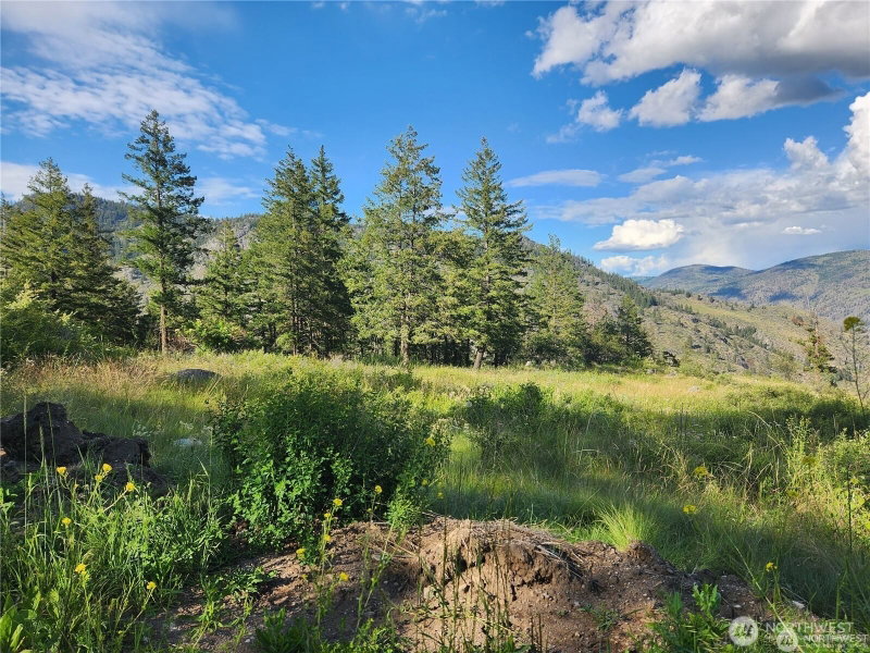 350 TBD Toats Coulee Road photo 2