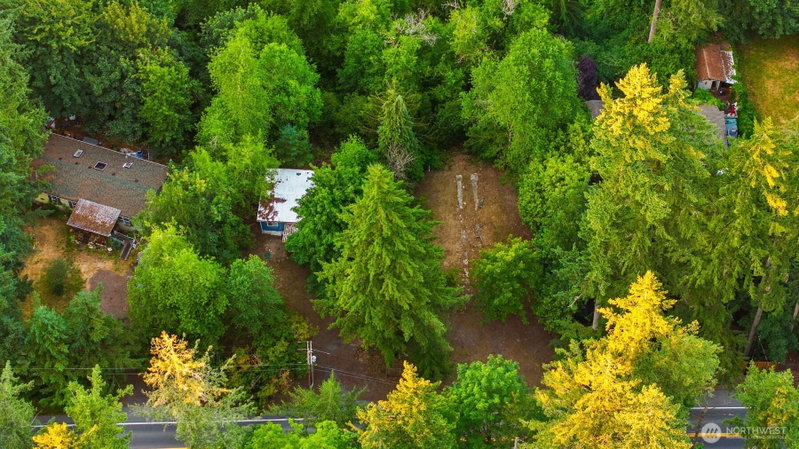 17029 Auburn Black Diamond photo 15