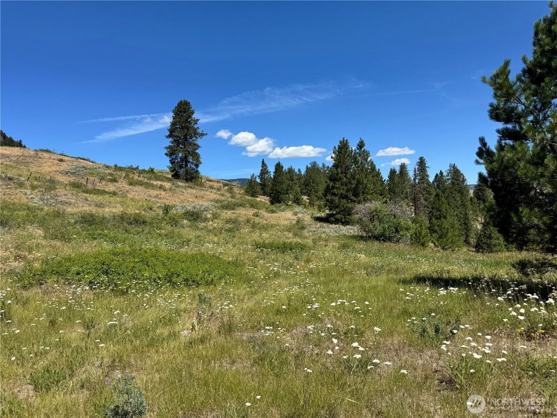 1 A Lundimo Meadows Road photo 1