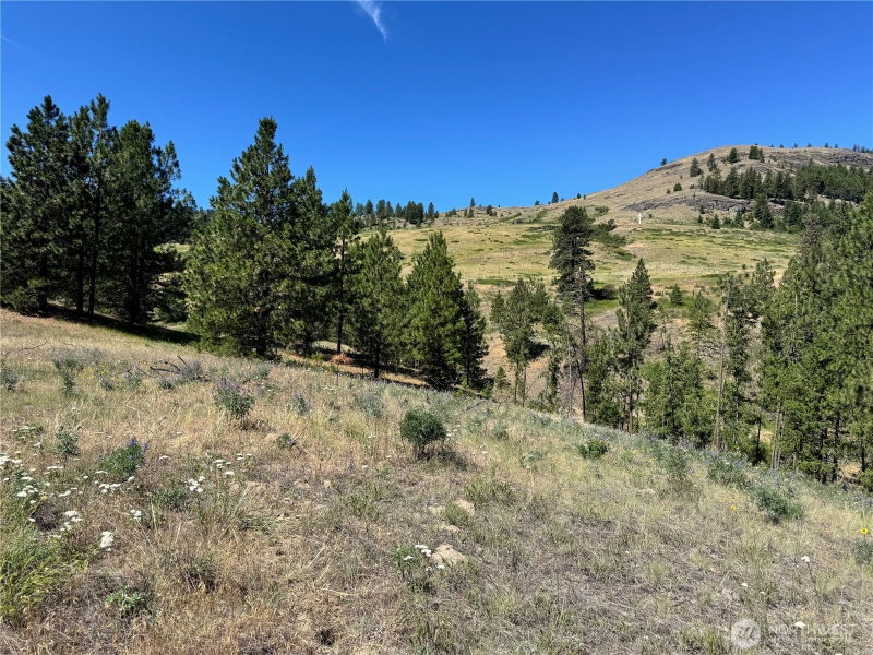 1 A Lundimo Meadows Road photo 2