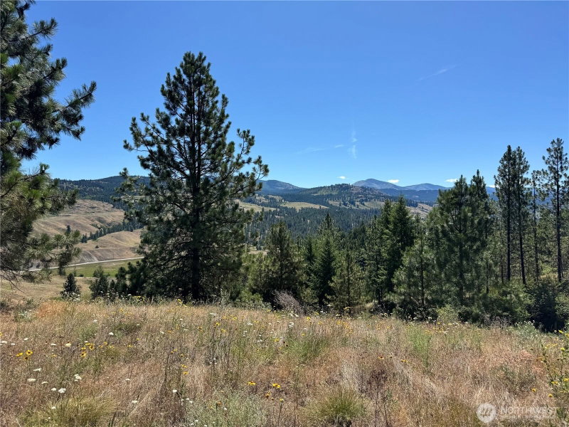 1 A Lundimo Meadows Road photo 23