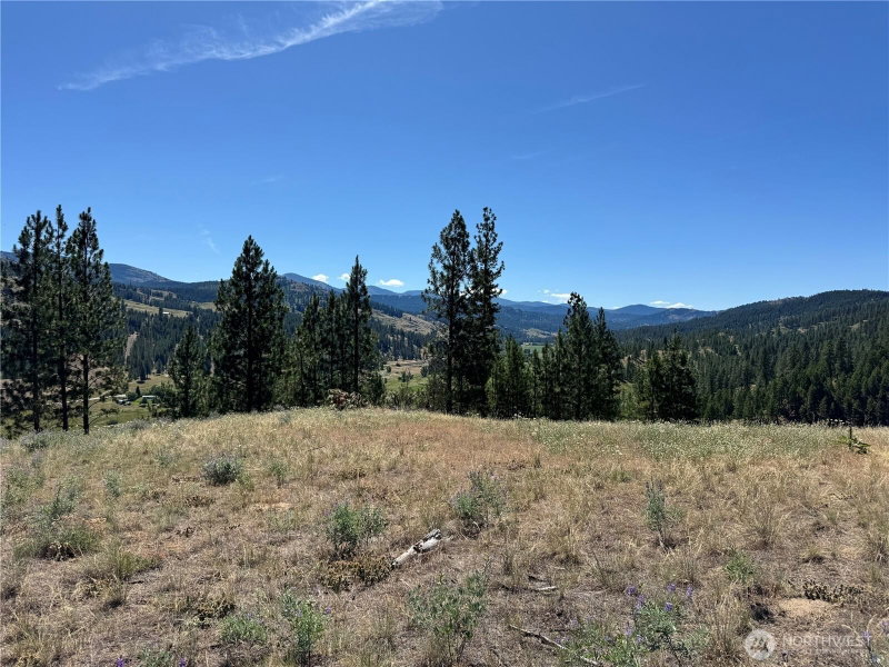 2 B Lundimo Meadows Road photo 1